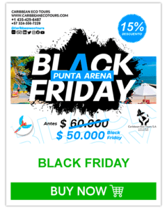 BLACK-FRIDAY-boton-verde