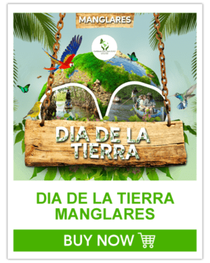 Tour Manglares (Día de la Tierra)