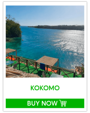 Eco hotel Kokomo