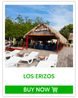 Eco hotel Erizo