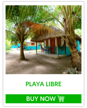 Eco hotel Playa libre