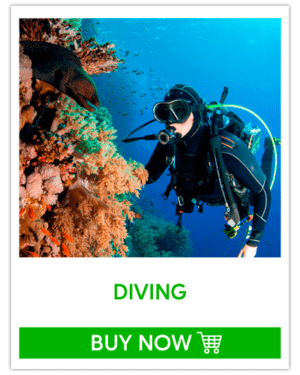 Buceo Profesional (Baru)