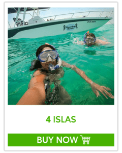 4-ISLAS