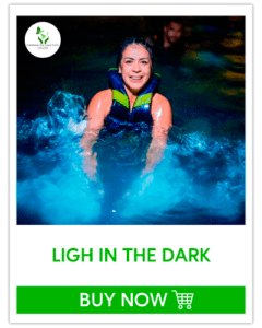 LIGH-IN-THE-DARK