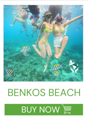 Benkos Beach, Playa Tranquila- Baru