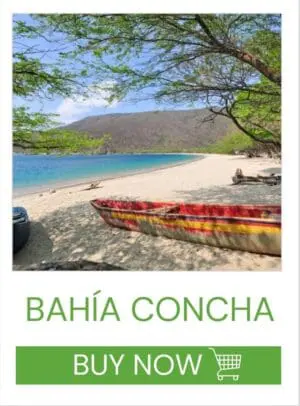 Bahia Concha