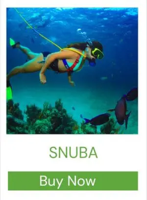 SNUBA