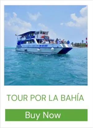 TOUR POR LA BAHÍA