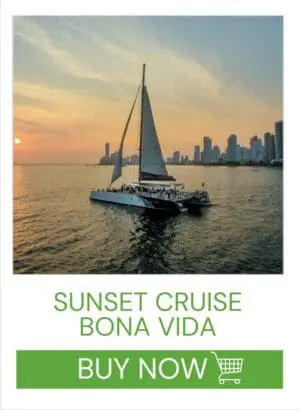 PUESTA DE SOL - (BONA VIDA)