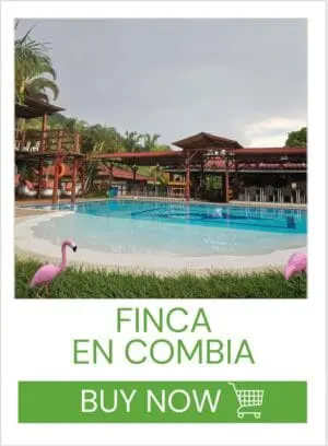 FINCA EN COMBIA
