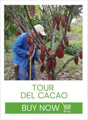 TOUR DEL CACAO