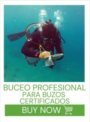 PLANES DE UN DÍA BUCEO PROFESIONAL  *PARA BUZOS CERTIFICADOS*