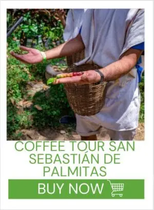 Coffee Tour San Sebastián de Palmitas