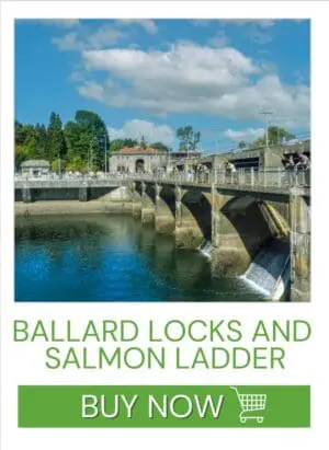 Ballard Locks and Salmon Ladder