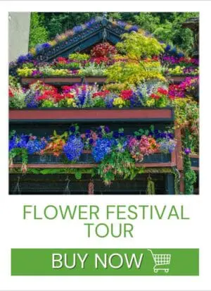 Flower Festival Tours
