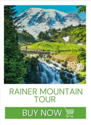 Rainier Mountain Tour