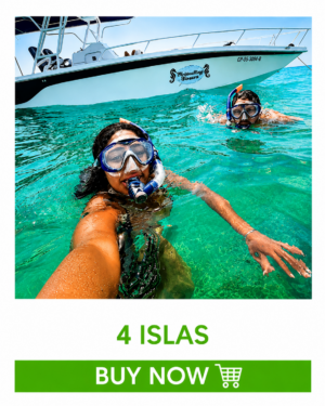 Tour 4 Islas + Plancton Luminoso