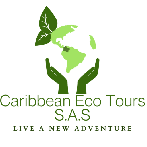 Covid-19 Resources | Caribbean Eco Tours