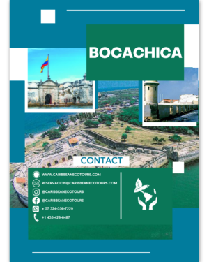 Isla de Bocachica - Empresarial