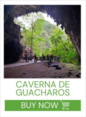 CAVERNA DE LOS GUACAROS
